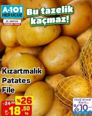 KIZARTMALIK PATATES FİLE KG